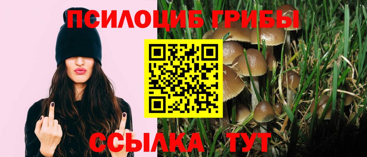Псилоцибиновые грибы прущие грибы  Вход с VPN  Копейск 